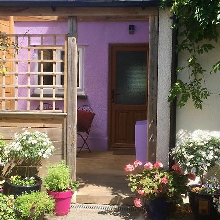 Cute Self-Contained Guest Room With Ensuite And Private Decked Porch In Glastonbury Exterior photo